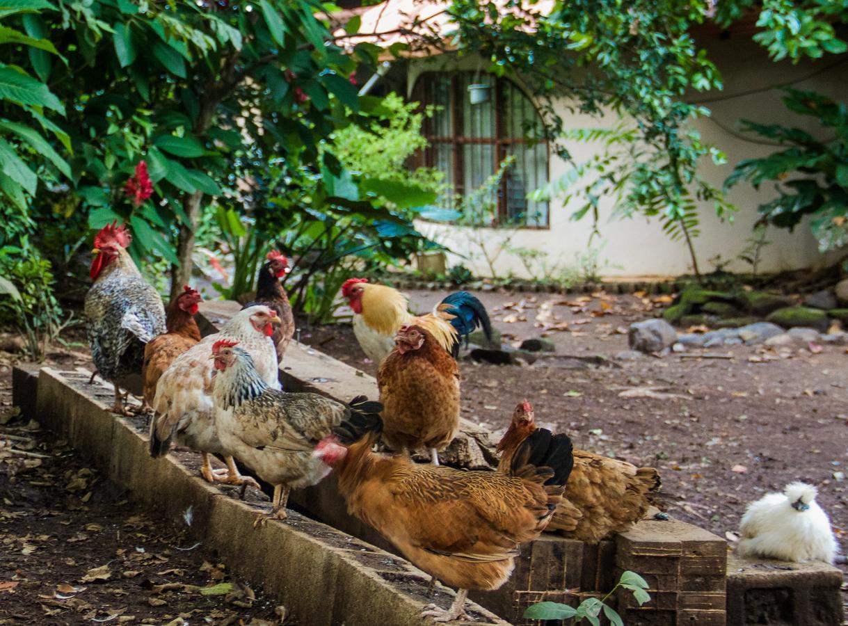 Quinta Mi Tata B&B Sardinal Zewnętrze zdjęcie
